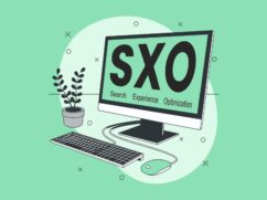 Search Experience Optimization (SXO)