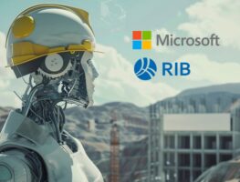 RIB Software