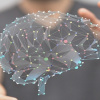 Skilled Professionals vs Artificial Intelligence
