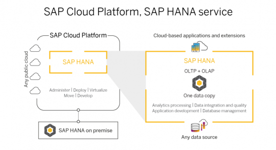 SAP Cloud Platform, SAP HANA service