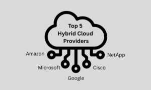 Top 5 Hybrid Cloud Providers