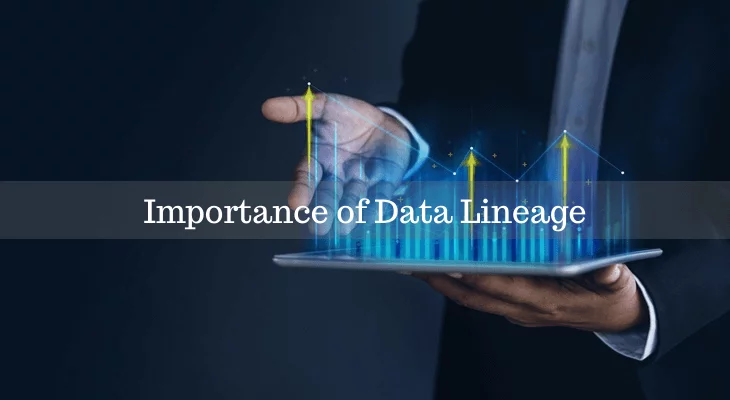 Data Lineage Importance