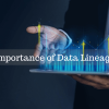 Data Lineage Importance