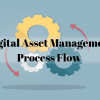 Digital Asset Management Process Flow