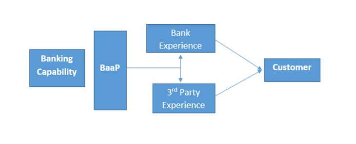 Schematic representation of Banking as a Platform
