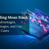 Understanding Mean Stack, its Advantages, Disadvantages, and Use Cases