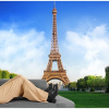 The Rise of Virtual Reality in Tourism: Benefits and Examples