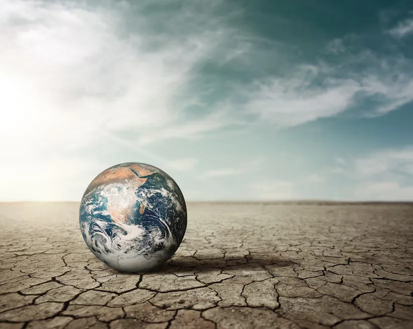 Kenvue Drives Climate Action Strategy Forward