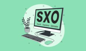 Search Experience Optimization (SXO)