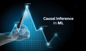 Causal Inference in ML