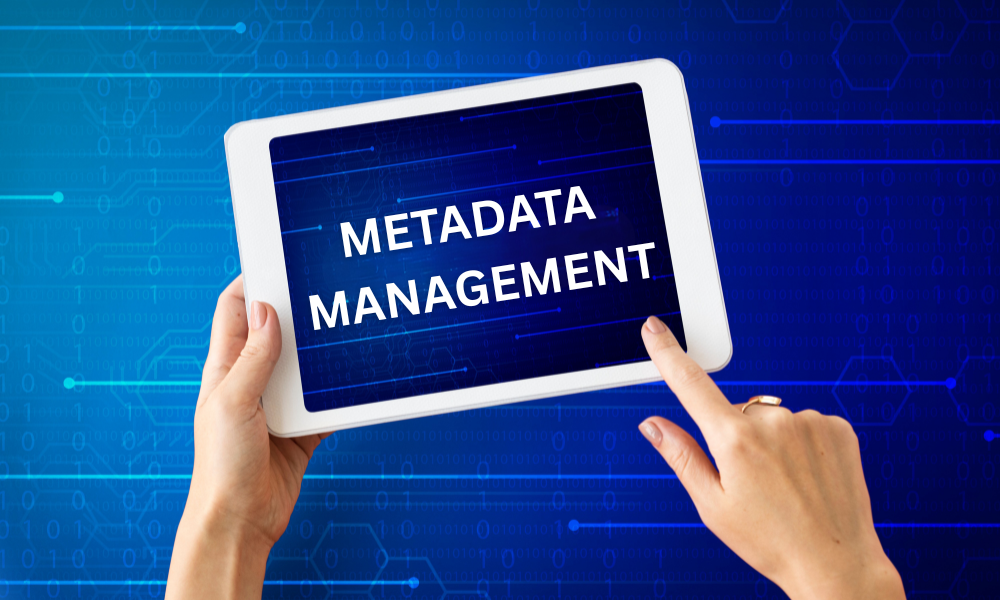 METADATA MANAGEMENT {{brizy_dc_image_alt entityId=