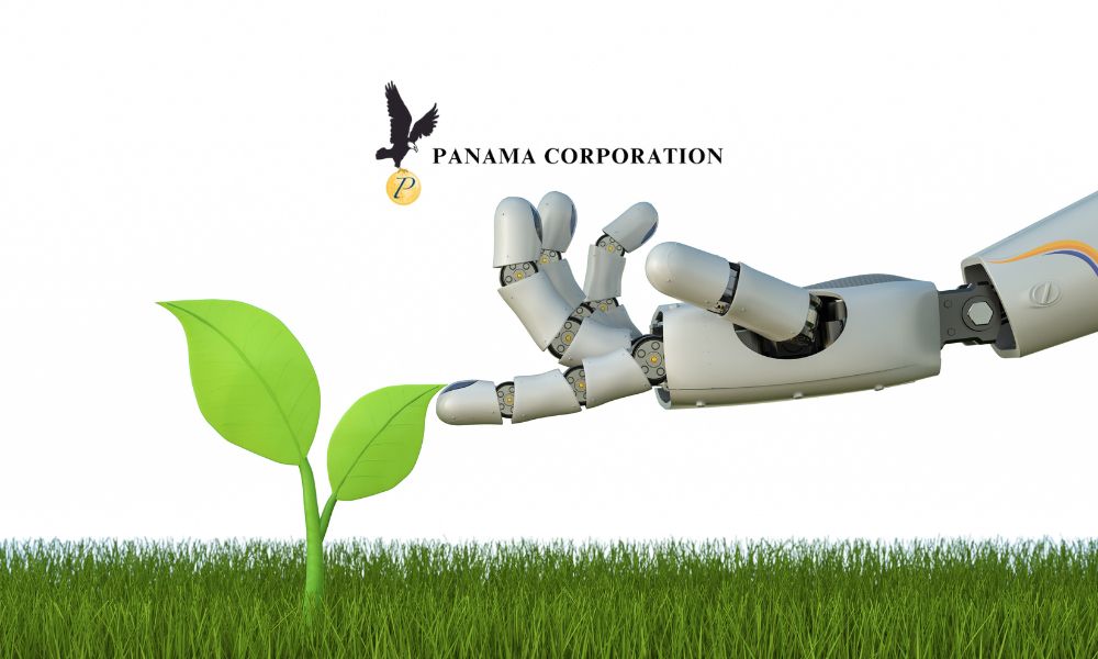 Panama Corporation {{brizy_dc_image_alt entityId=