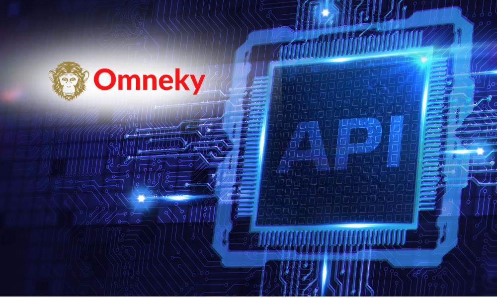 Public API and MCP Server Public API and MCP Server
