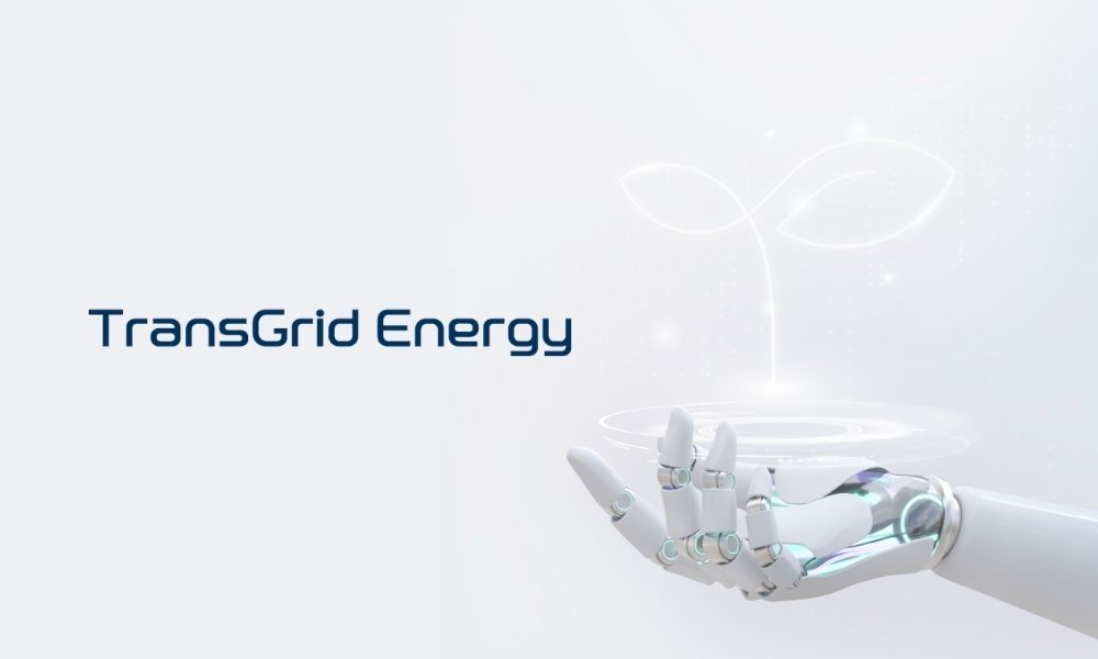 EnergyFluoTM EnergyFluoTM