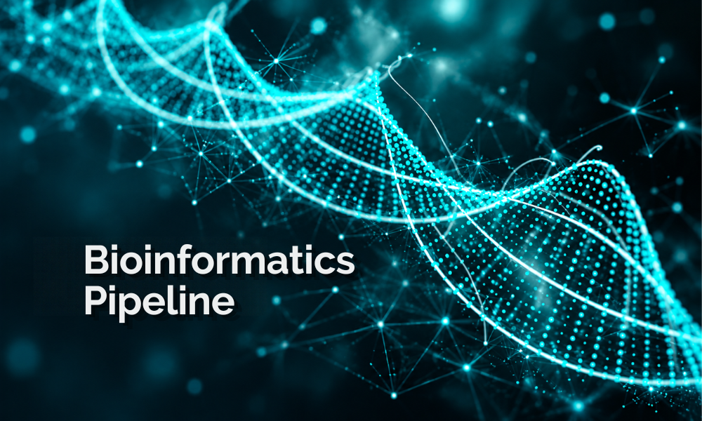 Bioinformatics Pipeline Bioinformatics Pipeline