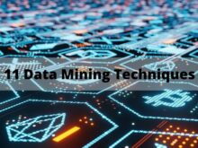 11 Data Mining Techniques