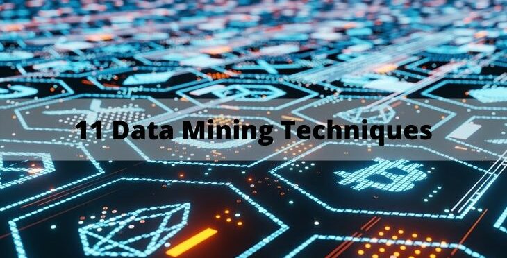 11 Data Mining Techniques