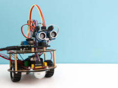 {{brizy_dc_image_alt entityId=