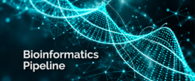 Bioinformatics Pipeline