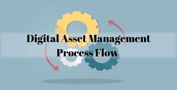 Digital Asset Management Process Flow