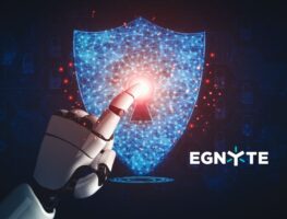 Egnyte