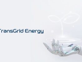 EnergyFluoTM