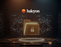 Halcyon Launches File Resilience