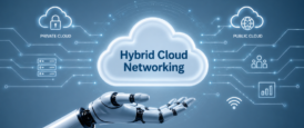 Hybrid Cloud Networking