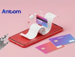 agentic payment solution