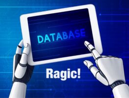Ragic