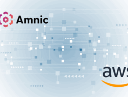 Amnic AI FinOps OS cloud cost management solution powered by AWS