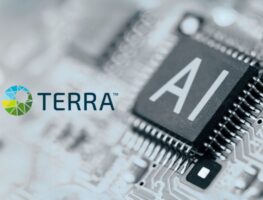 Terra