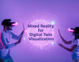 Mixed Reality for Digital Twin Visualization