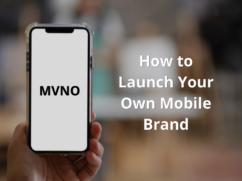 Mobile Virtual Network Operator