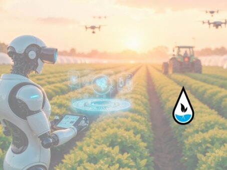 Plant Culture Systems