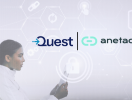 Quest Software Acquires Anetac