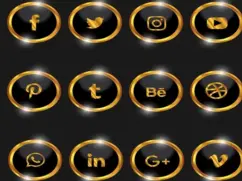 Website Search Rank