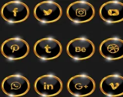 Website Search Rank
