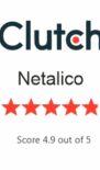 clutch - Netalico clutch - Netalico